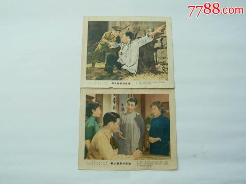 新潟大学 Business diploma